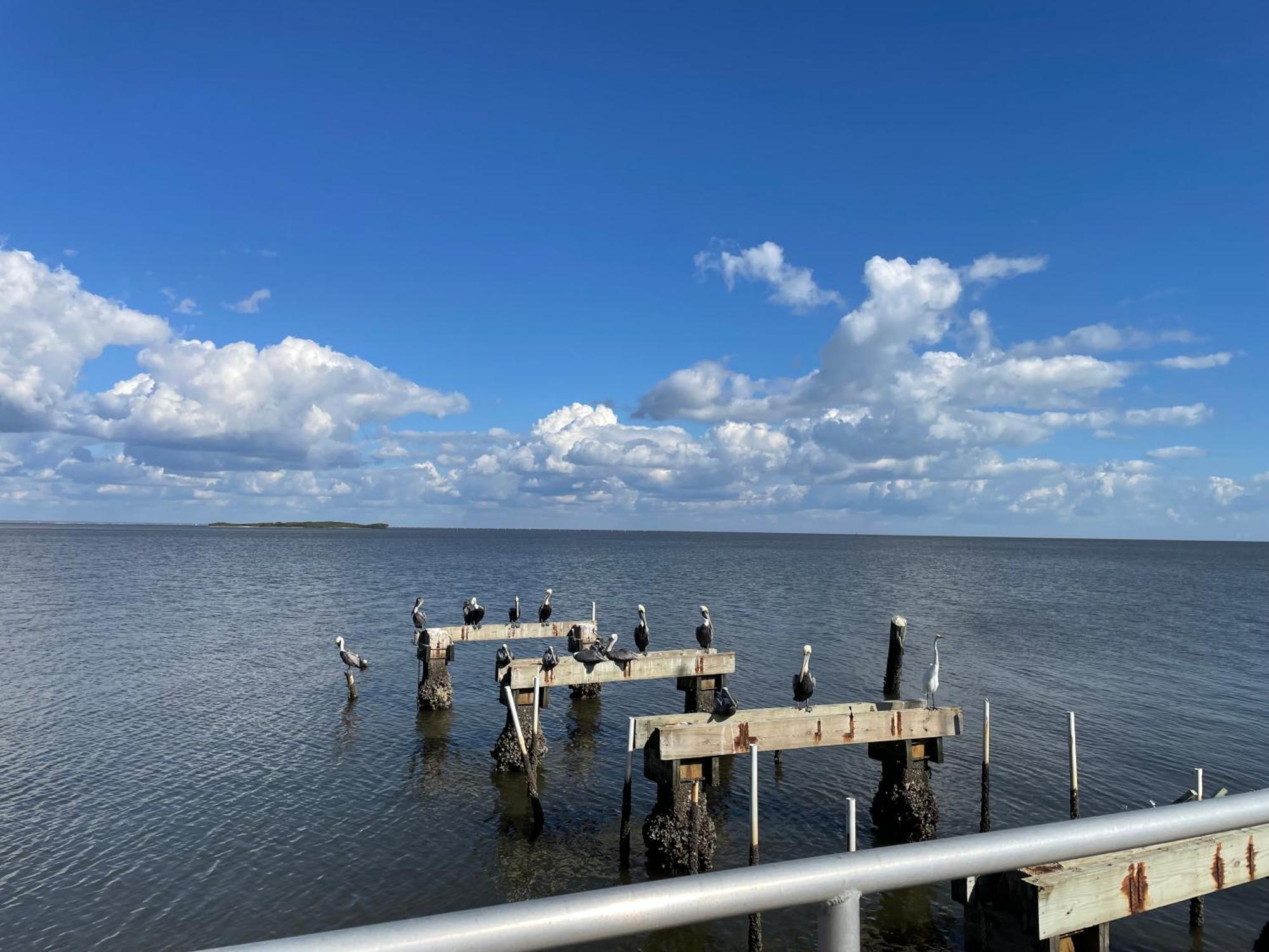 Cedar Key Florida Condo At Park Place Bagian luar foto